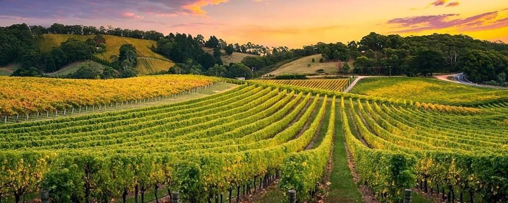 Adelaide Hills borvidéke Dél-Ausztráliában