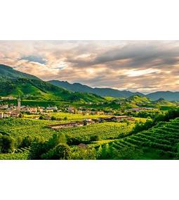 Az olasz pezsgők - Franciacorta és Valdobbiadene borvidékei