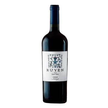 Antiyal Kuyen 2017 Syrah chilei bor Aconcaguaból