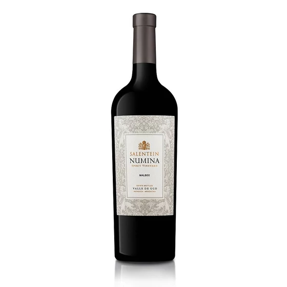 Salentein Numina Malbec 2019 argentin bor Mendozából